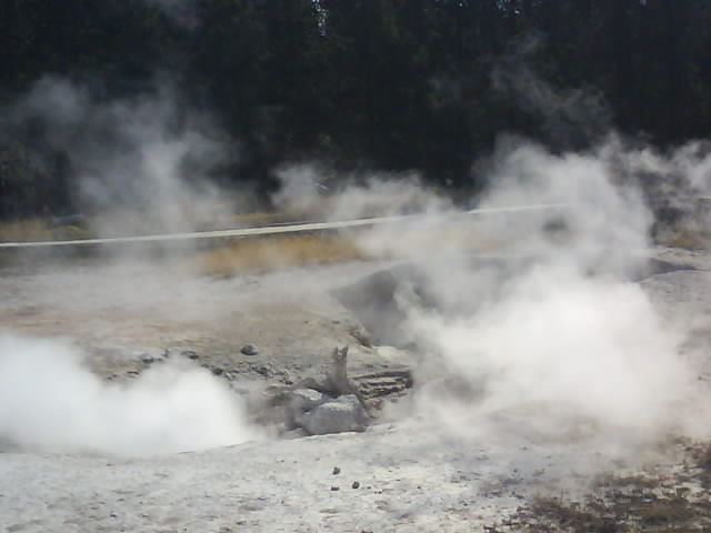 Yellowstone 046 Rising Steam.jpg